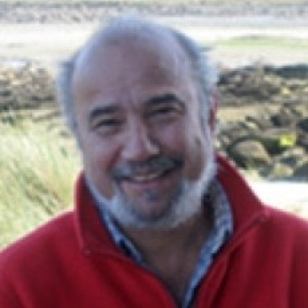 Hossein Askari